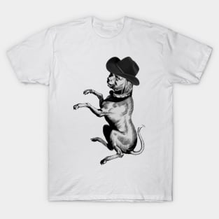 Howdy Partner T-Shirt